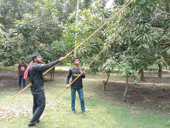 অনলাইনে আম বিক্রি করে রাজশাহীর শিক্ষার্থীদের দিনবদল